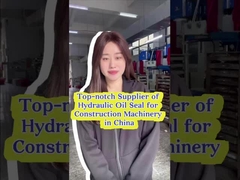 EX450-5 EX60-1 Sceaux hydrauliques pour cylindres résistants à la chaleur